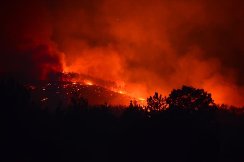 <p>Adana'daki orman yangınından fotoğraflar</p>