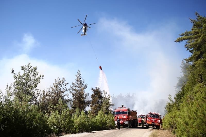 <p>Adana'daki orman yangınından fotoğraflar</p>