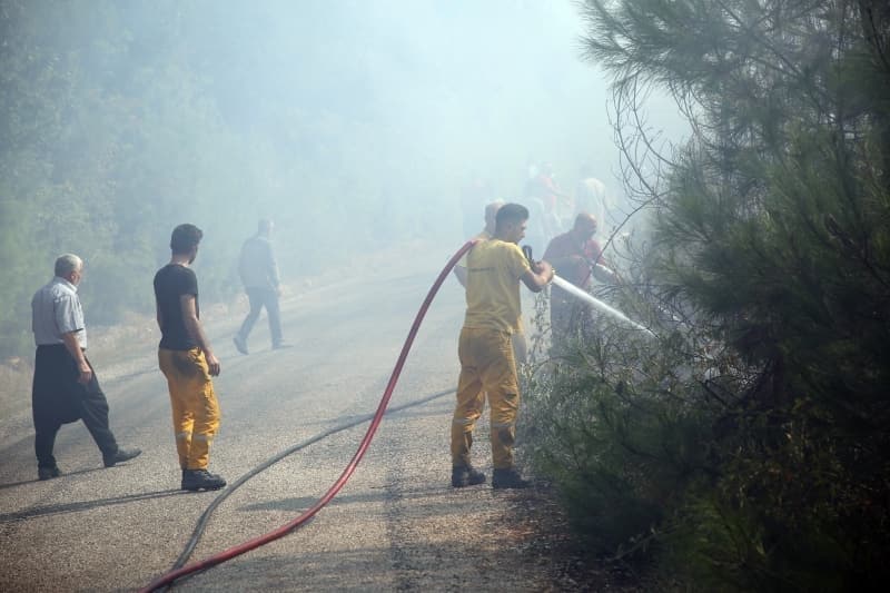 <p>Adana'daki orman yangınından fotoğraflar</p>