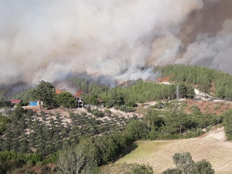 <p>Adana'daki orman yangınından fotoğraflar</p>