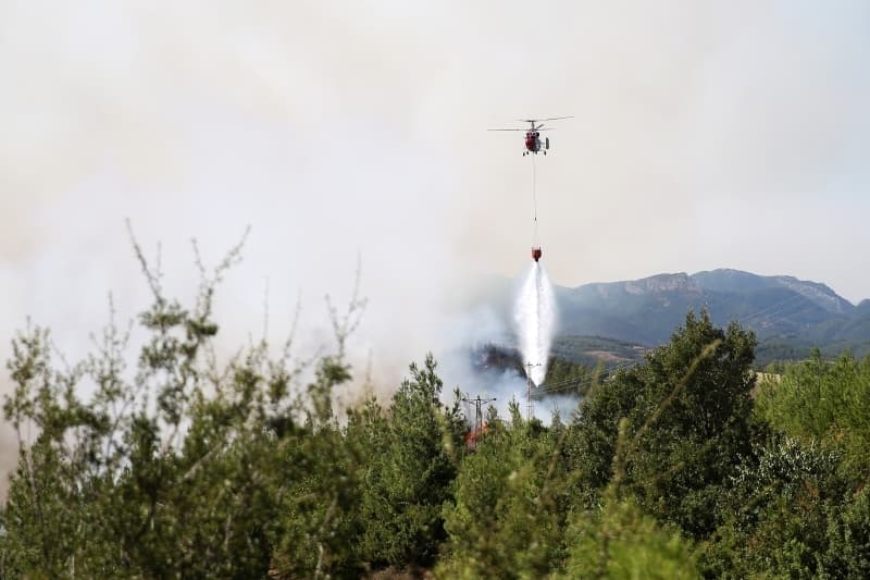 <p>Adana'daki orman yangınından fotoğraflar</p>