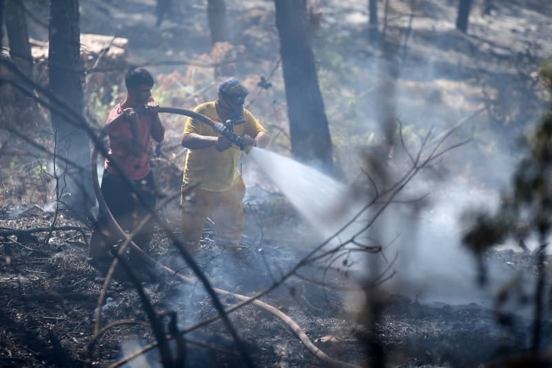 <p>Adana'daki orman yangınından fotoğraflar</p>