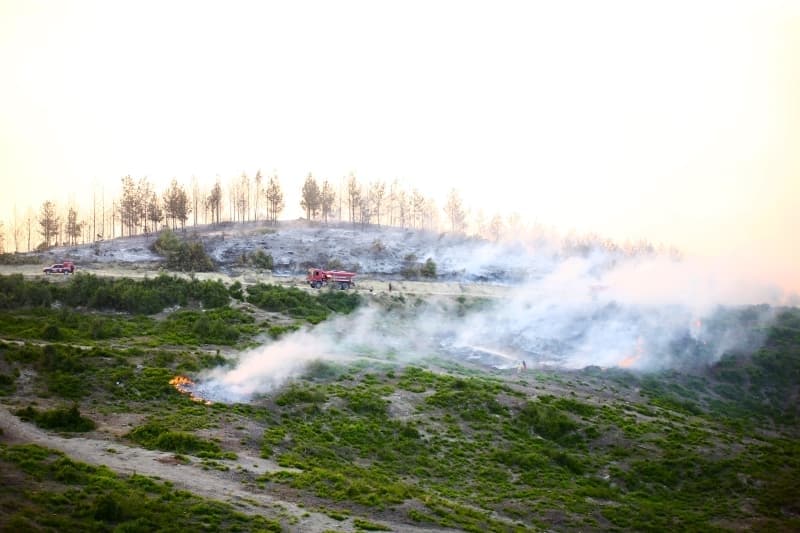 <p>Adana'daki orman yangınından fotoğraflar</p>