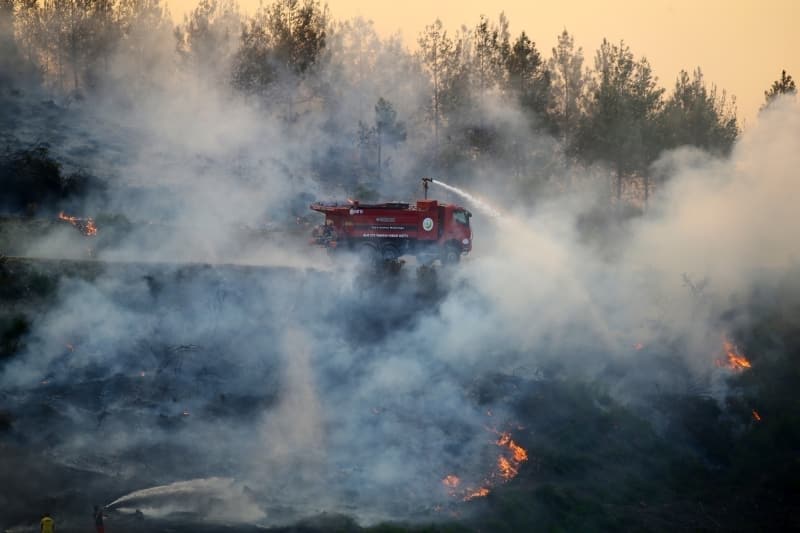 <p>Adana'daki orman yangınından fotoğraflar</p>