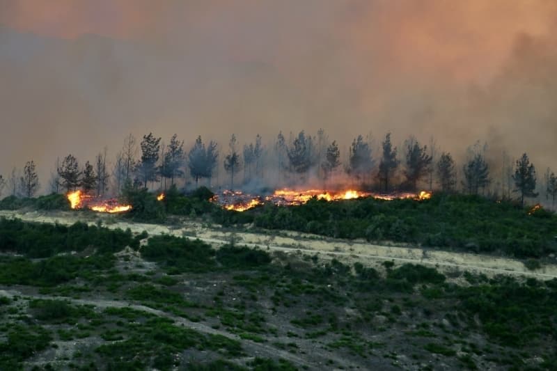 <p>Adana'daki orman yangınından fotoğraflar</p>