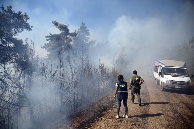 <p>Adana'daki orman yangınından fotoğraflar</p>