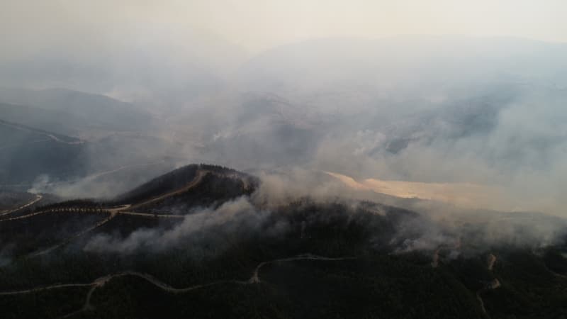 <p>Adana'daki orman yangınından fotoğraflar</p>