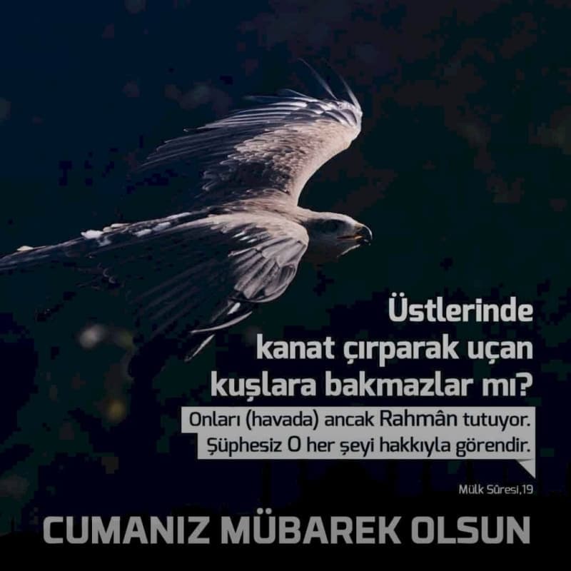 <p>Ayetli cuma mesajları 2020 (Resimli ve yazılı)</p>