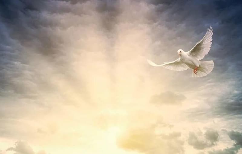 <p>Ac�n�n, g�zya��n�n, sava��n olmad���, sevginin, huzurun egemen oldu�u, sava�lar�n ya�anmad��� bir d�nya umuduyla 1 Eyl�l D�nya Bar�� G�n�'n� kutluyorum..</p><p><br></p>