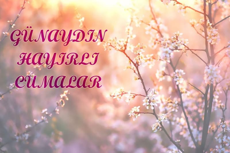 <p>Günaydın, Tüm İslam aleminin cumasını tebrik eder hayırlara vesile olmasını dilerim.</p>