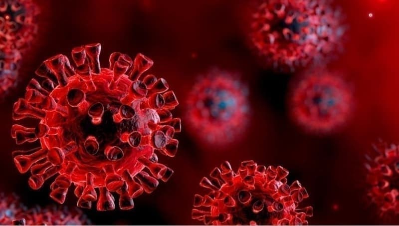 <p><b>AIR HASTA SAYISI ARTAN LLER </b></p><p><b><br></b></p><p>Koronavirs ar hasta says artan iller hakknda bilgi veren Koca unlar syledi;</p><p>'stanbul, Ankara, Konya, Erzurum ve Yozgat. Tedbirlere birlikte uyarak baarl olabiliriz. Birlikte tedbirli olalm'</p>