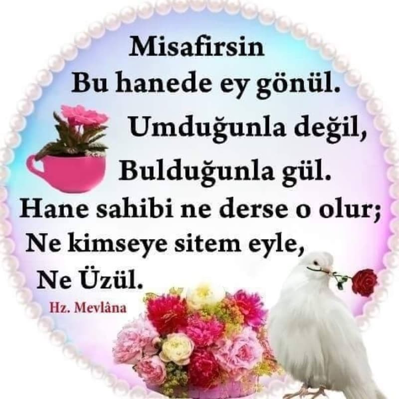 <p>Ne kadar zengin olsan, ancak yiyebileceğin kadar yersin. Denize testiyi daldırsan, alabileceği kadar su alır, gerisi kalır.</p><p>-Hz.Mevlana</p>