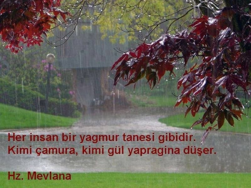 <p>Ey can, aklını başına devşir.</p><p>Ölümden korkup kaçarsın ya;</p><p>doğrusu sen kendinden korkmaktasın.</p><p>-Hz.Mevlana</p>