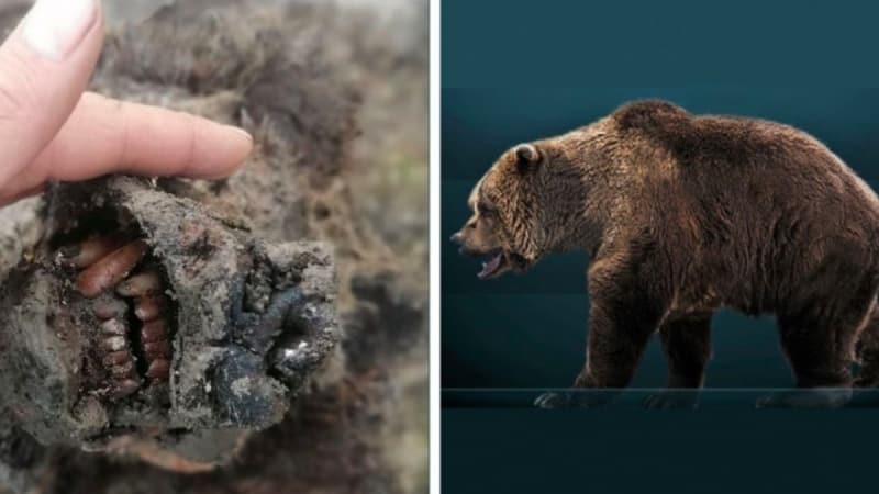 <p>“Daha önce sadece kafatasları ve kemikler bulundu. Bu keşif tüm dünya için büyük önem taşıyor.”</p>