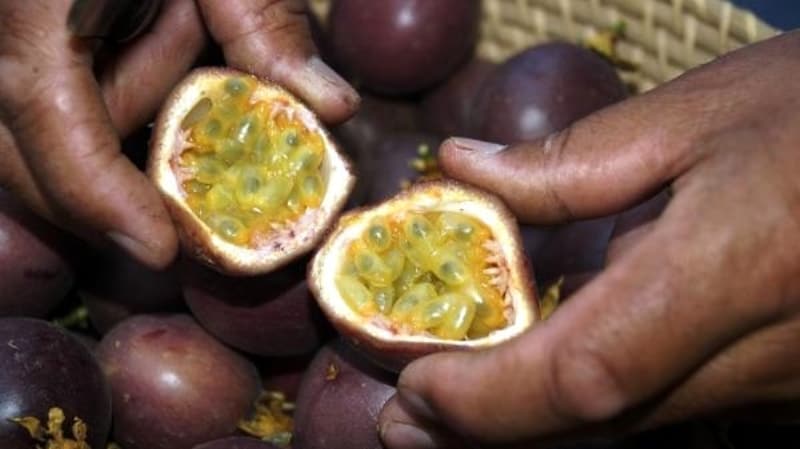 <p>Göz sağlığını korur</p>