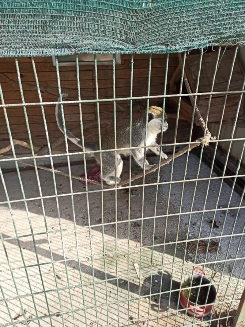 <p> Konu ile ilgili yakalanan 1 şahıs hakkında 5607 SKM ve 4915 SKM suçundan işlem başlatıldığı öğrenildi.</p>