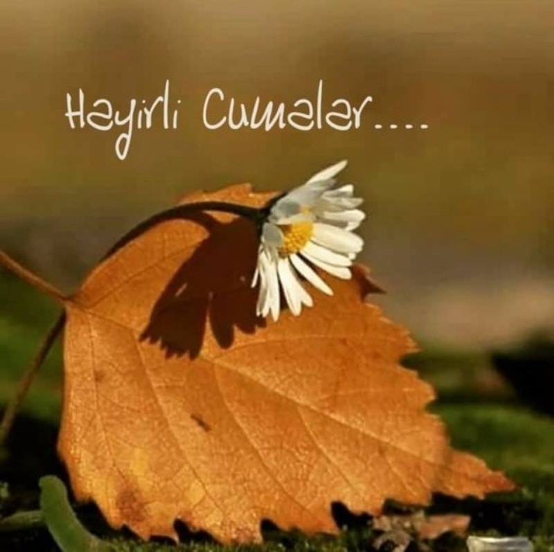 <p><b><i>'İnsanların Allah'tan en uzak olanı, katı kalpli kimselerdir.' </i></b><span >Hadis-i şerif</span></p><p><b><i><br></i></b></p><p>Cumanız mübarek olsun</p>