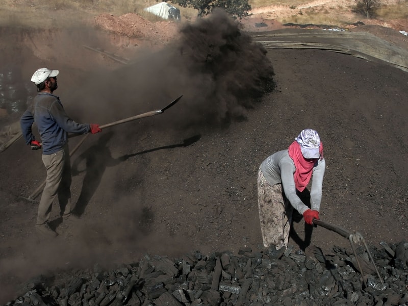 <p>Tonlarca mee odununun dev ocaklarda yaklmasnn geleneksel bir yntem olduunu vurgulayan Ylmaz, 'Mangal kmr retiminde kimyasal maddelerin kullanld yeni yntemler de var. Bu kimyasallar mangal yaplan yiyecee sinerek sala zarar verebiliyor. Geleneksel yntem en salkls.' diye konutu.</p>