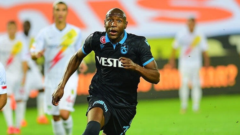 <p>Afobe</p>