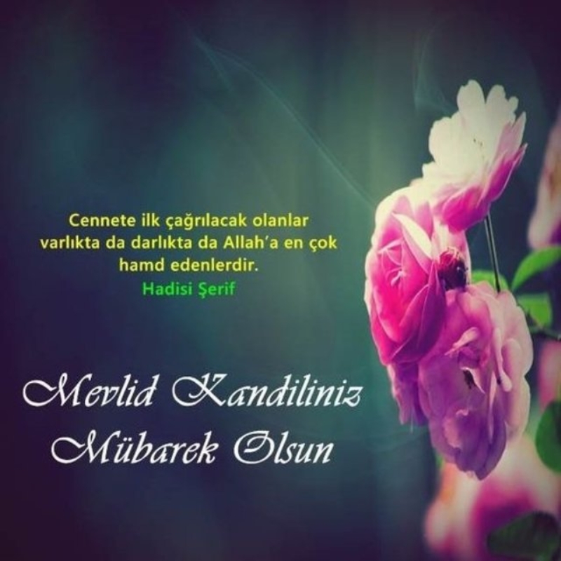 <p>Kandiliniz mübarek olsun. Yüce rabbim bütün dualarınızı kabul etsin.</p>