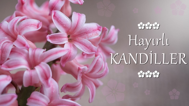 <p>Rabbimden çiçek istedik kırları verdi, ağaç istedik ormanları verdi, su istedik denizleri verdi, dost istedik bu numarayı verdi. Kandiliniz mübarek olsun.</p>