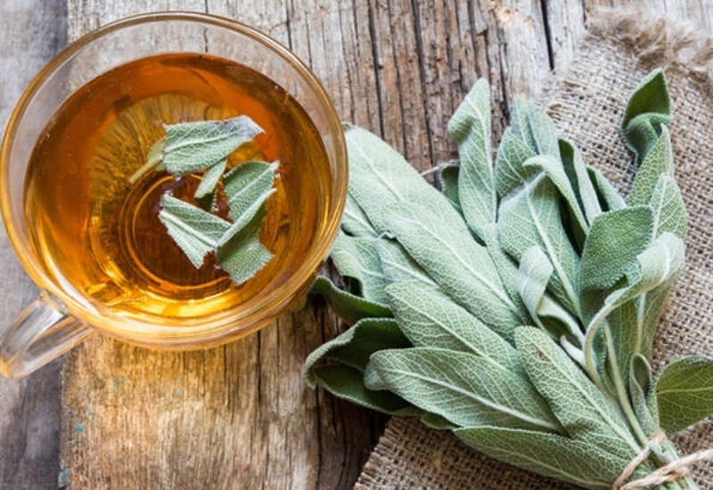 <p>Ihlamur, Zencefil, Adaay</p>