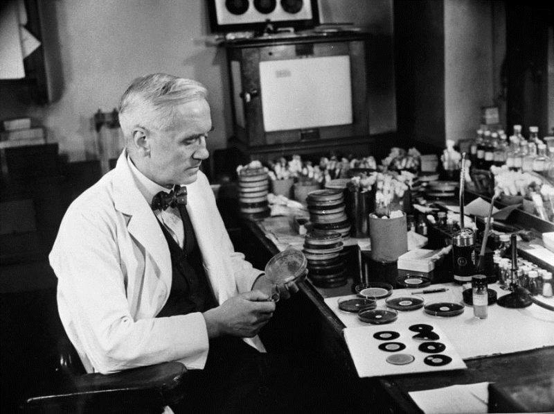 <p><b>Penisilin</b></p><p>Alexander Fleming (1928)<b><br></b></p>