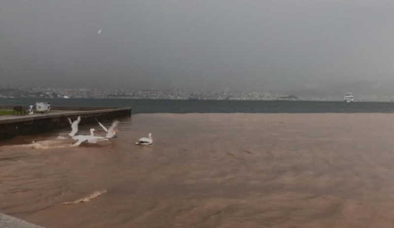 <p>Meteoroloji yetkilileri, gün boyu etkili olacak yağışların risk yaratabileceğine işaret ederek, sel ve su baskınlarına karşı dikkatli ve tedbirli olunmasını istedi.</p>