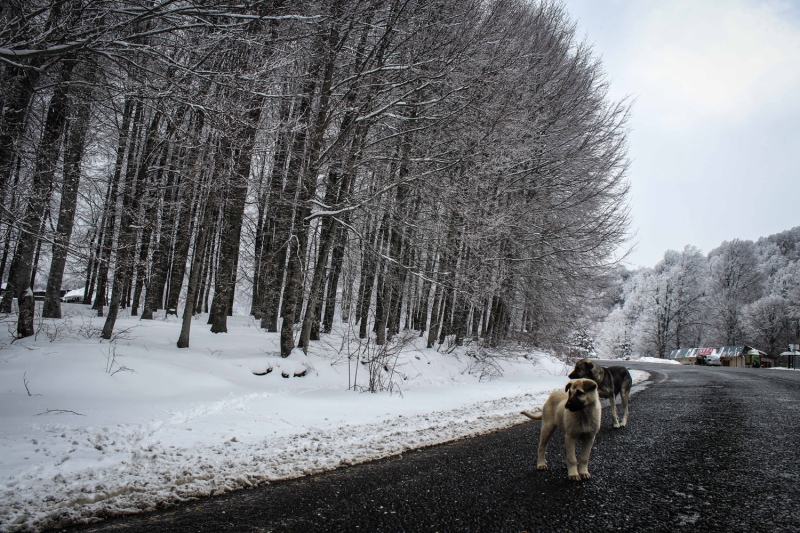 <p>Şelaleleri ve dereleriyle de ilgi çeken bölgedeki manzara büyük bir hayranlık uyandırıyor.</p>