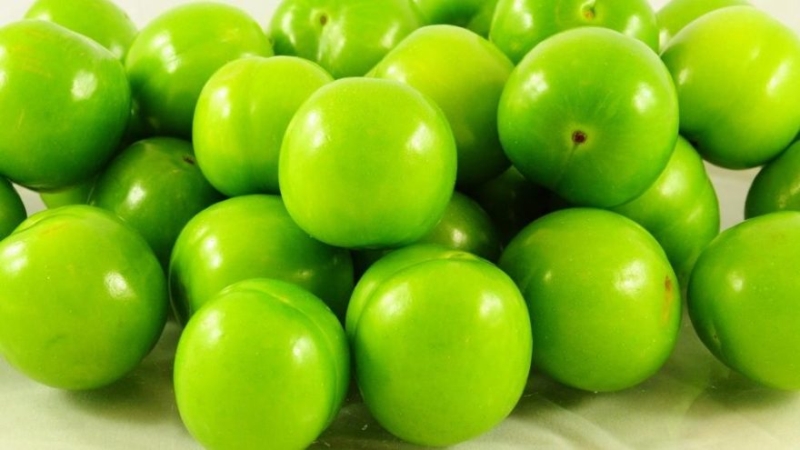 <p>9-Yüksek C vitamini içeriği sayesinde bağışıklık sistemini güçlendirir.</p><p><br></p>