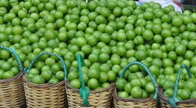 <p>* Karaciğer hastalıklarına iyi gelir.</p><p>* Kolesterolü dengeler.</p><p>* Kabızlığı giderir.</p><p><br></p>