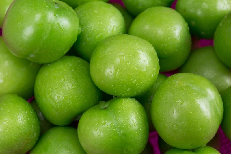 <p>10-Anti-aging etkisi vardır, yaşlanmayı önler ve cildi yeniler. İçerdiği fitoflavonoidler ve vitaminler bağ doku yenilenmesi hızlandırırlar. Bu sayede kilo verme süreçlerini destekler ve daha sıkı bir vücut için yardımcı olur.</p><p><br></p>