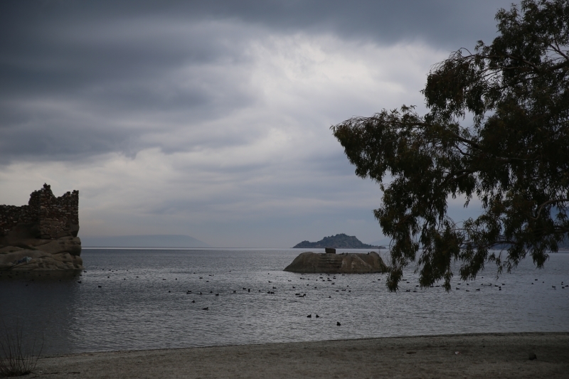 <p>Aralk ve ocakta blgede etkili yan olduuna dikkati eken akr, 'Glmz eski seviyesine ulamak zere. Bu durumdan ok memnunuz. Gzel bir k geiriyoruz. Glmz balk konusunda da olduka zengin. Kefal ve ylan bal bata olmak zere 4-5 eit balk bulunuyor. Bu sene bereketli geiyor.' diye konutu.</p>