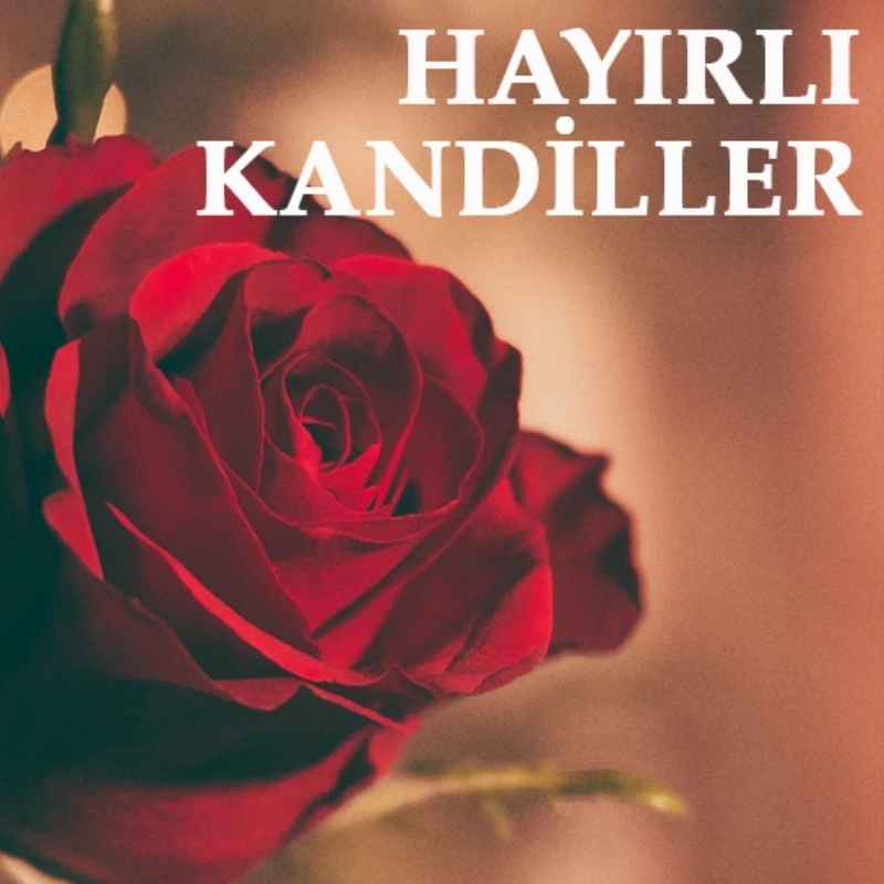 <p>Rabbim sen affedicisin, affetmesini seven ve bilensin. Sen bizleri mübarek Miraç kandili hatırına affı mağfiret eyle. Amin! Hayırlı kandiller...</p>