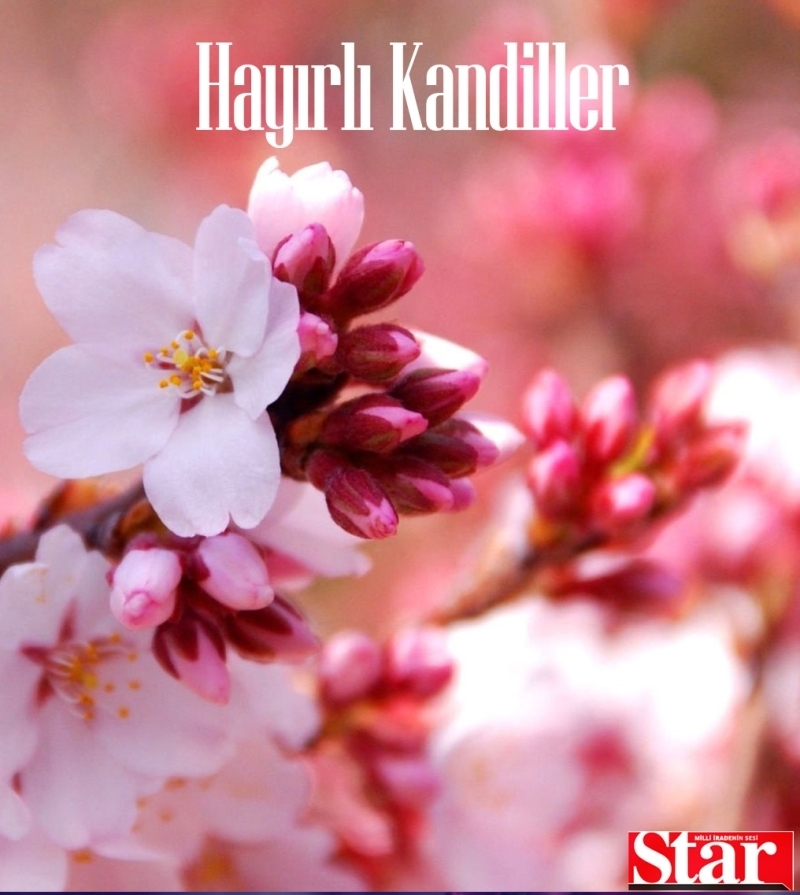 <p>Umutsuz olma! Olmaz deme. Umutları var eden, sebepleri yaratan, olmazları olduran ALLAH var. O varsa her şey var. Hayırlı Kandiller</p><p><br></p>