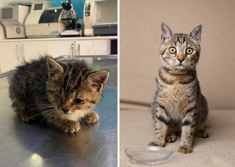 <p><font size='3'><b>- 'ÖNCE BİLİNÇLEN SONRA SAHİPLEN'</b></font></p>