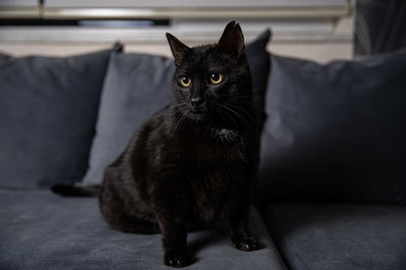 <p>'Çok sabırsız bir insandım. Hemen her şey olsun derdim ama onların ihtiyaçlarını karşılamaya başladıktan sonra sabretmeyi öğrendim. Aslında çok çok zevkli, şu anda 6,5 aylık bebeğim var, bebeğimizi de alıp gezdiriyorum. Sevgi, kesinlikle her şeyi iyileştiriyor. Bunu da 7'den 77'ye herkeste görebilirsiniz. Bir varlığı sevmek gerçekten insanı çok iyileştiriyor.'</p>