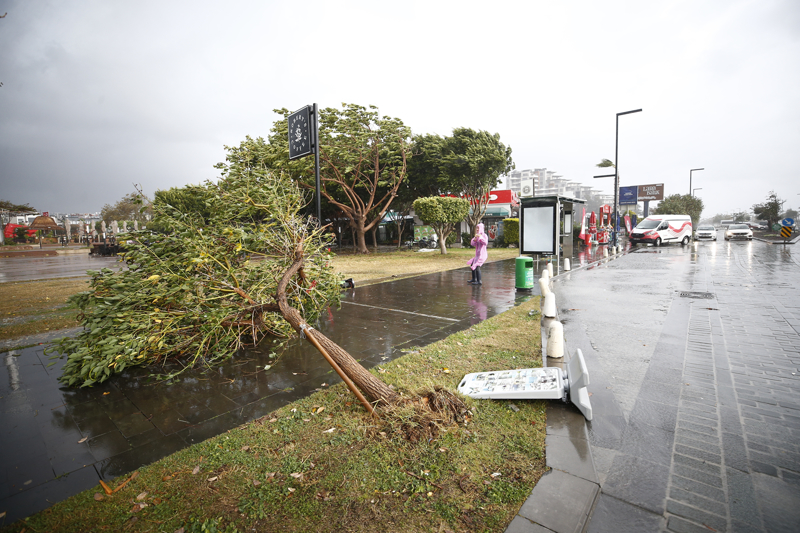 <p>Antalya falezlerinde de ya�ayan Akdeniz foklar� oldu�unu belirten G�ko�lu, 'F�rt�na d�nemlerinde yavrular�n� ma�aradan ��kararak korumak i�in Kalei�i Yat Liman�'na getiriyorlar. Muhtemelen bu fok da yavrusunu limanda g�venli bir yere b�rakt� ve onu korumak i�in �evresinde s�rekli dola��yor. F�rt�nal� g�nlerde maalesef yavru �l�mleri ya�an�yor. Dalgalar nedeniyle kayal�klara �arpan yavrular hayat�n� kaybedebiliyor.' dedi.</p>