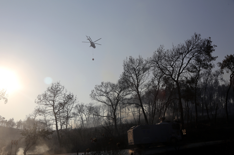 Tavl�, yang�n�n kontrol alt�na al�nmas�nda eme�i ge�en Tar�m ve Orman Bakanl���, ��i�leri Bakanl��� ile AFAD'a te�ekk�r etti.