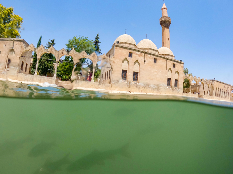 <p>Tarihi alan� gezen turistler, g�ldeki kutsal kabul edilen bal�klara yem at�yor, foto�raf �ektirip, yerle�kedeki mekanlar� ziyaret ediyor. Buradan Urfa Kalesi'ne de ��kan konuklar, tarihi ve yeni yap�lar�n i� i�e oldu�u kenti ku� bak��� seyretme imkan� buluyor.<br></p>