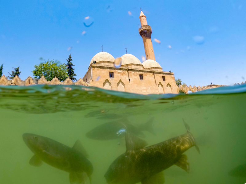 <p>Bal�kl�g�l, ���kland�rma sistemiyle de geceleri ziyaret�ilerine ayr� bir g�rsel g�zellik sunuyor.</p>