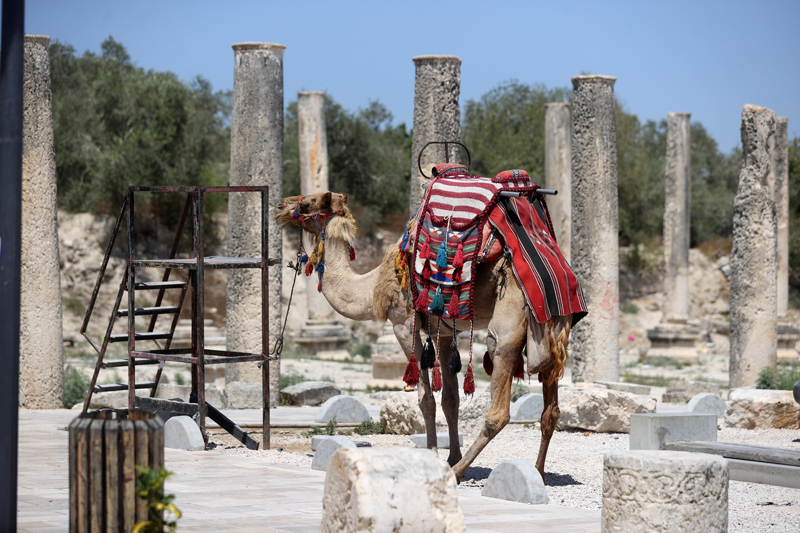 <p>Tavafe�e, 'Sebastia'n�n UNESCO taraf�ndan Tehlike Alt�ndaki D�nya Miraslar� Listesi'ne al�nmas� gerekiyor.' dedi.</p>