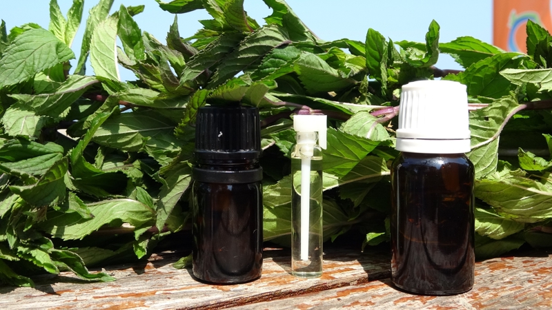 <p>'Daha �nce alan ila� firmalar� var, onlar bizden her sene belirli miktarda al�yorlar. �u anda 2 cc'lik kaplar� 80 liradan sat�yoruz, litresini ise 35 bin TL'den sat�yoruz. 400 kilogram ya� naneden 100 kilogram kuru nane ��k�yor, 100 kilogram kuru naneden de 1,2 litre nane ya�� ��k�yor' dedi.<br></p>