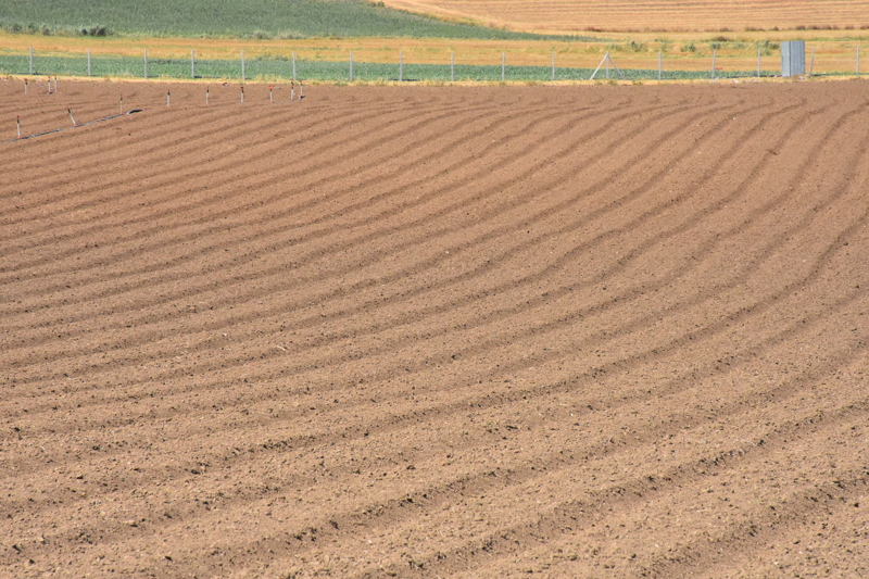 �ak�r, b�ylesine b�y�k bir projenin Eski�ehir'de hayat bulmas�ndan b�y�k bir memnuniyet duydu�unu belirtti.