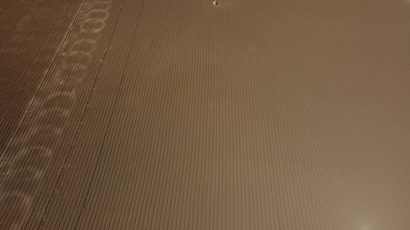 Proje dan��manlar�ndan Ziraat Y�ksek M�hendisi H�seyin Akdemir, safran yeti�tiricili�i ile ilgili bilgi vererek ilk hasad�n ekim ya da kas�mda ger�ekle�tirilece�ini bildirdi.