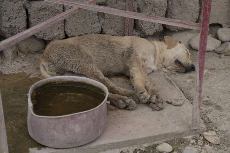 <p>�mer, '�zellikle i�me suyu konusunda bizler b�y�k sorun ya��yoruz. �ran'�n suyu kesmesinden dolay� Irak olarak ilk etkilenen b�lge Kaladize ve Ranya il�eleri, ard�ndan di�er b�lgeler geliyor.' ifadelerini kulland�.</p>