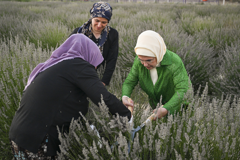 <p>Ata tohumlar�n�n korundu�u Tohum Ambar�'n� da gezen Erdo�an, buradaki tohum �e�itleri hakk�nda bilgi ald�.</p><p>Emine Erdo�an, ��rencilere ata tohumu hakk�nda e�itim verilen b�l�m� inceleyerek ekim yapt�.</p>