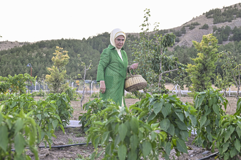 <p>�rettikleri meyve ve sebzeleri hem do�rudan hem de i�leyip ���nc�, d�rd�nc� �r�n olarak satt�klar�n� dile getiren �ay�r, 'K���n kurutuyoruz, sal�a ya da tur�usunu yap�yoruz. Bir�ok �r�n� de�erlendirerek hem kad�nlara istihdam sa�l�yoruz, onlar�n �cretlerini �d�yoruz hem de ham madde sa�l�yoruz.' dedi.</p>