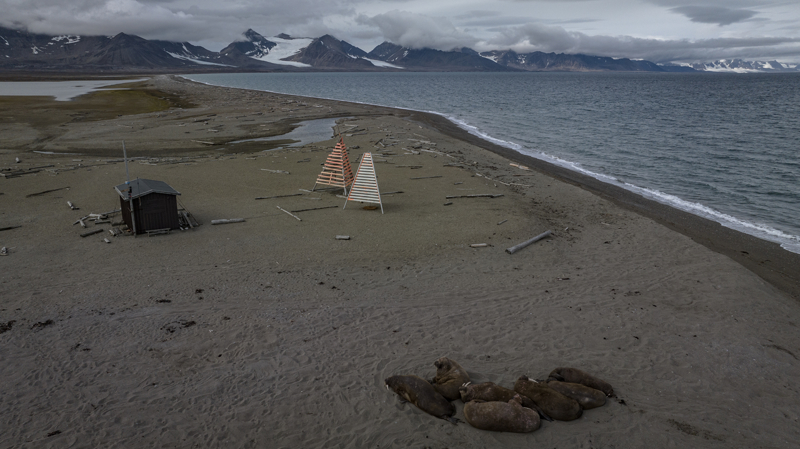 <p>Bilim insanlar erime devam ettike ortaya kacak bu gibi hastalklardan bu canllarn daha fazla etkilenerek saylarnn daha da azalaca konusunda endie duyuyor.        </p>