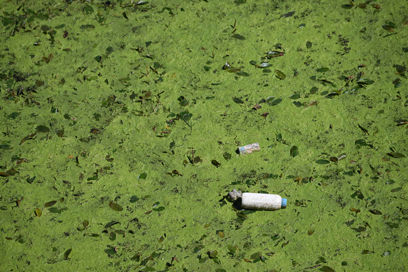 <p>Nehrin bu görüntüsünün kendisini de üzdüğünü belirten Korkan, 'Yatak genişleyince su akışı azalıyor, azalınca otlar büyüyor. Alttan çıkan otlar ve atılan çöpler kötü bir görüntü oluşturuyor. Vatandaşlara uyarıda bulunmak istiyorum. Çöpü nehre değil konteynere atalım. Vatandaşlarımız maalesef duyarsız. Buraya çöp atmak çok çirkin bir şey. Edirne'ye Türkiye'nin her yerinden insanlar geliyor. Yunanistan'dan gelenler bu köprüden geçiyor.' diye konuştu.</p>